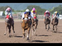 Run Thatcher Run, with Omar Walker aboard, wins the seventh race over a distance of 1100 metres at Caymanas Park in, St Catherine on Saturday, December 1, 2018.