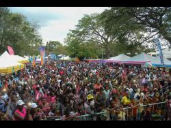 A section of the crowd at Funfest, held on Easter Monday.