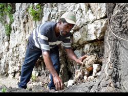 Kenyon Hemans/Photographer
Leonardo Cushnie gathers stones from the side of a hill. He uses them to fill potholes along the Stony Hill main road in St Andrew.
