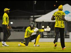 Scorpions celebrate after taking a wicket in the regional Super50 tournament in 2017.