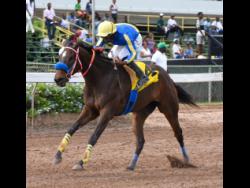 TRULY AMAZING (Aaron Chatrie) wins the sixth race at Caymanas Park on Saturday, January 4 2020. The four-year-old filly will be in action in tomorrow’s second race. 