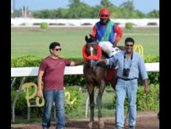 Peter-John Parsard (left) and his father, trainer Ian Parsard, guiding  SUPERLUMINAL (Robert Halledeen up)  to the winners’ enclosure after the horse won an overnight allowance race over 1800 metres at Caymanas Park.