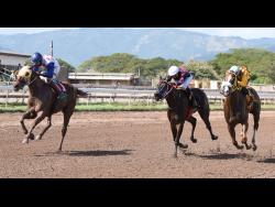 AZARIA (left) ridden by Oshane Nugent, finishes ahead of CONTRACTOR, ridden by Aaron Chatrie at Caymanas Park on Saturday, February 1.