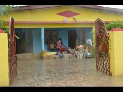 Credit: Errol Crosby