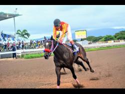 Credit: File SIR ALTON, ridden by Anthony Thomas, wins the Ronron Trophy at Caymanas Park on Sunday, September 13.