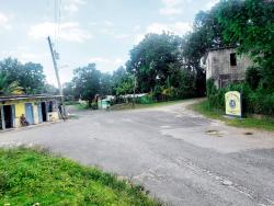The Rat Trap square is located at the foot of the Belvedere Mountains and is surrounded by Kew Park in Westmoreland.