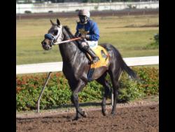 BIG BIG DADDY with Dane Dawkins aboard.