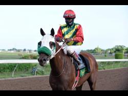 Toona Ciliata with Dane Nelson aboard.