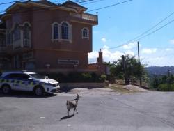 Police personnel deployed at the entrance to the community of Peace View, in Albion, St James, which has been transformed into a ghost town following the murder of a teenager, and the injuring of another by gunmen.