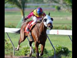 Capturemyship ridden by O’neil Scott.