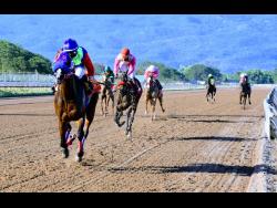FILE
SHE’S A WONDER (left) ridden by Dane Nelson wins the eight race ahead of  at Caymanas Park, on Saturday, February 6, 2021.