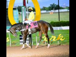 TREVOR’S CHOICE with Oshane Nugent aboard heads to the winners enclosure after winning the Christopher ‘Chris’ Armond Sprint Trophy, the 11th race at Caymanas Park on Sunday, December 27, 2020.