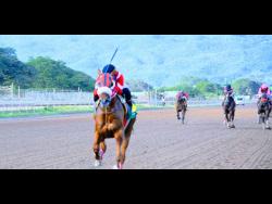 Excessive Force, ridden by Linton Steadman.