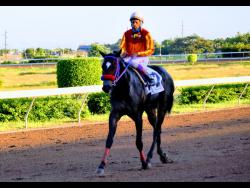 File
SIR ALTON trods dejected with Anthony Thomas aboard losing for the first time this season, after been beaten by SENTIENT (not in photo) in the 10th race at Caymanas Park, on Saturday, October 10, 2020.