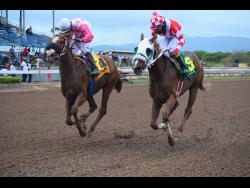 Further And Beyond (right), ridden by Dane Nelson, and Miniature Man, ridden by Dick Cardenas, finish in a spectacular dead heat in the Kingston Trophy at Caymanas Park on Saturday, May 8.
