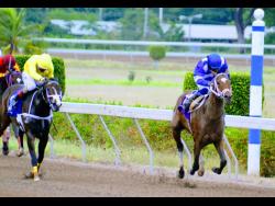 TREVOR’S CHOICE (left) placing second to NIPSTER in Saint Cecelia Cup on May 15 at  Caymana s Park.
