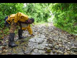 Ernest Williams points to the poor state of the roadway in the disappearing village of Stony Gut.