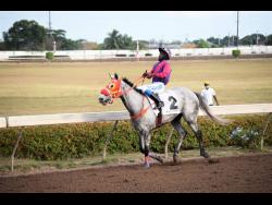 ROY ROGERS (Nicholas Hibbert aboard) 