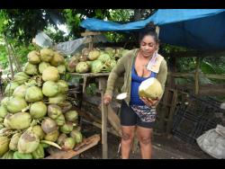 Maxine Henry skilfully chops a coconut in front of her stand along the Linstead Bypass in St Catherine.