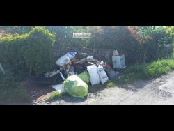 An area in Boundbrook just outside the residence of a retired teacher, which has been transformed into a dumping site for garbage. 