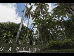 A section of the Hope Royal Botanical Gardens.