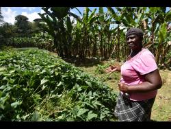 Despite challenges, Valerie Neil, 79, is still commited to farming. 