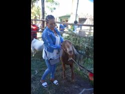 Susan Baijnath with one of her champion goats ‘Big Man’ at the St Mary Agricultural Show held at Gray’s Inn Sports Complex in Annotto Bay yesterday.
