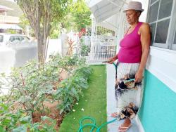 Millicent Atkins waters her vegetable garden at her home in Portmore, St Catherine.