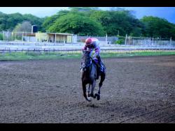 POSITIVE ID ridden by Reyan Lewis strolls to an easy victory in the Restricted Allowance race over nine furlongs and 20 yards at Caymanas Park last Sunday.