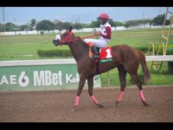 THALITA ridden by Anthony Thomas wins the Princess Popstar Trophy race over five-and-a-half furlongs for two-year-old restricted allowance stakes at Caymanas Park on October 8.