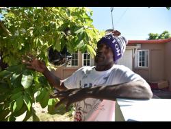 Cleon Harden gives his side of the story about what happened in the Mexican airport in December.
