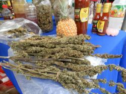 Some of the cannabis that was on show at the Rebel Salute Herb Conference at Hot Box, in Bonham Spring, St Ann, on Thursday.