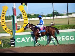 NUCLEAR NOON and jockey Robert Halledeen after winning the O&S Tac Room Trophy over six furlongs at Caymanas Park in November 2021.