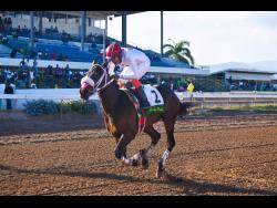 EL AFORTUNADO, ridden by Anthony Thomas, wins the six furlong Sir Howard Stakes for three-year-old colts and geldings, restricted allowance at Caymanas Park on Sunday.