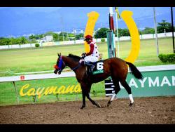 EAGLE ONE, ridden by Phillip Parchment, wins The Printery Department Trophy for three-year-old and Up Overnight Allowance stakes over six and a half furlongs at Caymanas Park in January last year.