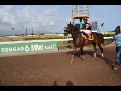 MONEY MONSTER, ridden by Ryan Lewis, wins the Alsafra Trophy over a mile at Caymanas Park in June last year.