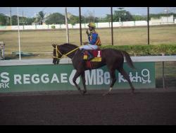 BLUE VINYL, ridden by Raddesh Roman, walks to the winner’s enclosure after winning the Jamaica 2000 Guineas over a mile for three-year-old furity (Colts and Geldings) Stakes at Caymanas Park in June.