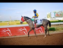 MOJITO, ridden by Dane Dawkins, wins the Kingston, a three-year-old and upwards Graded Strakes over seven and a half furlongs at Caymanas Park on March 7.