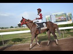 THALITA, ridden by jockey Reyan Lewis, won the 97th running of the Jamaica St Ledger over 10 furlongs for three-year-old horses at Caymanas Park on July 1.