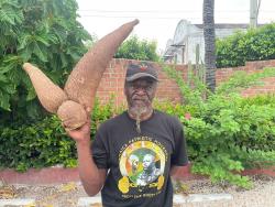 Photo by Tiffany Pryce
Oswald Comrie shows off his massive cassava that he took to the Jamaica Patriotic Movement conference on Sunday.