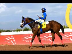 CHAMPION BUBBLER, ridden by Omar Walker, wins the four-year-old and upwards Restricted Allowance Stakes over seven and a half furlongs at Caymanas Park on April 1.
