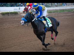 I’VE GOT MAGIC is guided to victory in the St Catherine Cup for three-year-old and upwards Open Allowance Stakes over six furlongs at Caymanas Park in January.