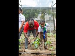 Craig Richards (left), branch manager, Scotiabank May Pen, tends to a seeding in the greenhouse with Dan-Luis McKenzie, a student of Osborne Store Primary and Infant School. 
