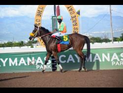 POWER RANKING, ridden by leading jockey Dane Dawkins, won the O & S Tack Room Trophy for three-year-old and upwards Restricted Allowance Stakes over six and a half furlongs at Caymanas Park in August last year. POWER RANKING is expected to be MORIMOTO main rival in Sunday’s Announcers’ Trophy.