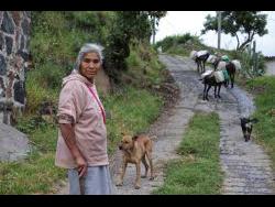 Emilia Segura pauses for a portrait as she walks with her dogs and four donkeys carrying water she collected at a public well in Pueblo Santa Cruz Acalpixca, Xochimilco, on the outskirts of Mexico City, on October 7. Segura, 62, has been selling water daily for over a decade with the help of her four donkeys. 