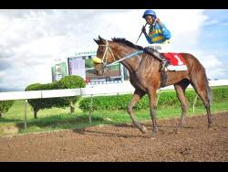 RHYTHM BUZZ, ridden by Raddesh Ramon, wins the Royal Dad Trophy, a three-year-old and upwards restricted allowance stakes event over nine furlongs and 20 yards, at Caymanas Park on October 8.