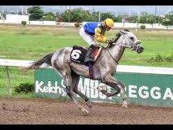 RAINSVILLE, ridden by Dick Cardenas, streaks to an easy victory at Caymanas Park in October last year.