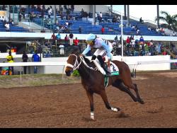 Jockey Raddesh Roman guides LEGIT BOSS, with an odds of 7-1, to an easy win in the War Zone Sprint over five and a half furlongs at Caymanas Park on Saturday.