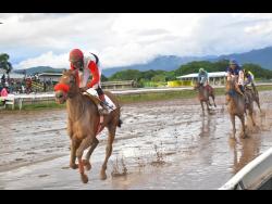 MONEY MISER easily wins the United Racehorse Trainers Association Trophy over nine furlongs and 25 yards for three-year-old and upwards non-restricted maiden condition race at Caymanas Park on November 18.