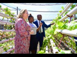 Minister of Labour and Social Security,  Pearnel Charles Jr (right), interacts with Canada’s High Commissioner to Jamaica,  Emina Tudakovic (left), and Tanisha Gaynor, a beneficiary of a project geared at engaging rural woman with disabilities in sustainable farming techniques.